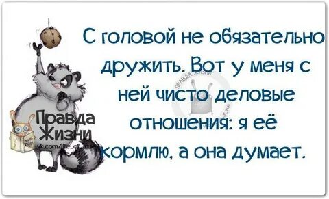 Отношения правда жизни