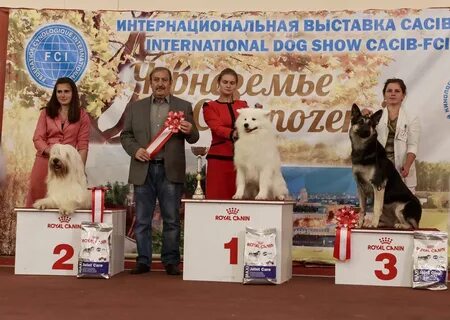 Черноземье кинологический воронеж