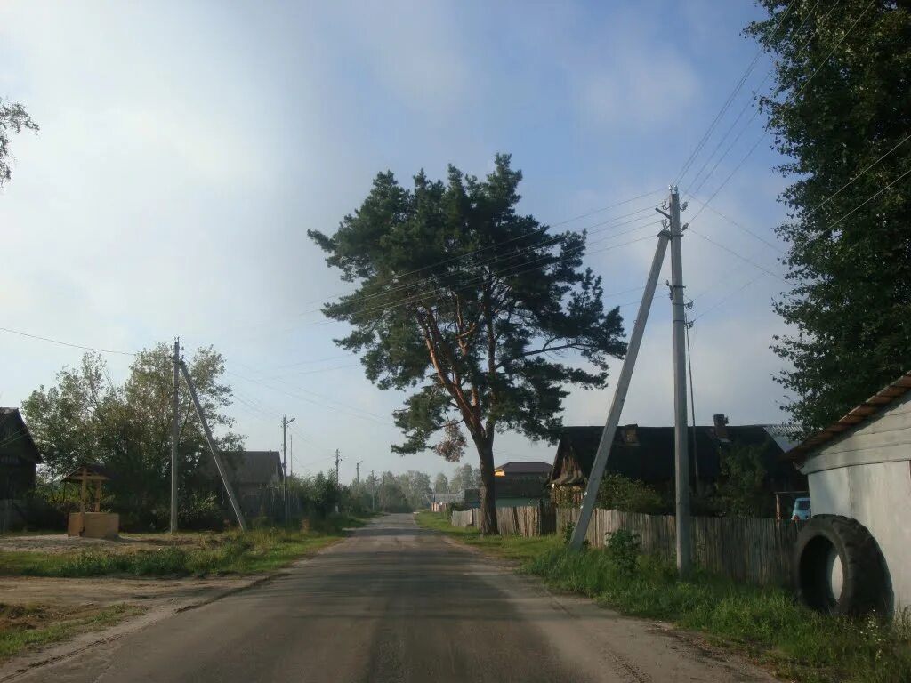 Погода в шатурторфе на неделю