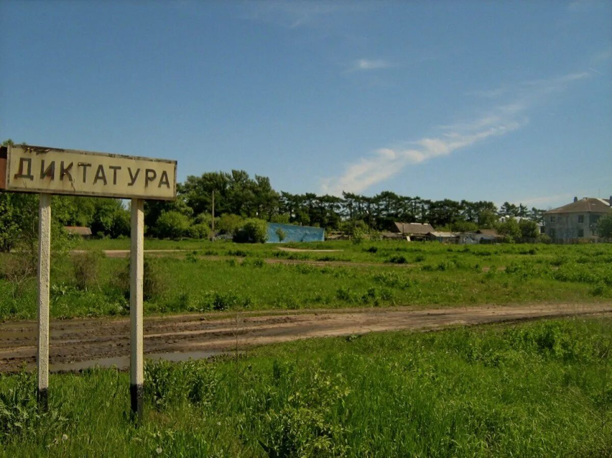 Дюмин посетил куркинский район. Тульский совхоз. Схп татарстан. Заокские питомники, деревня ушаковка. Рассада в совхозе.