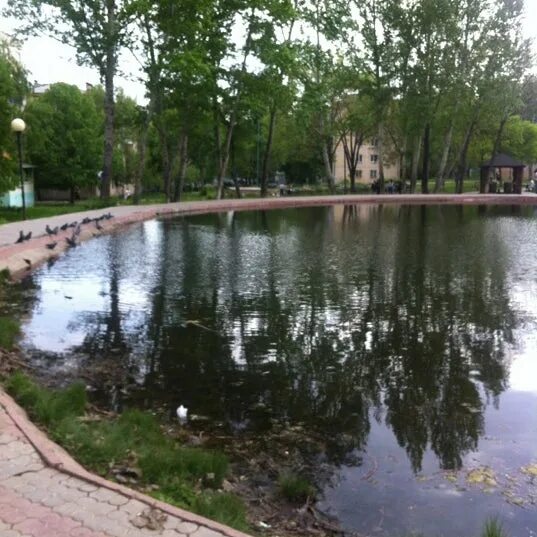 Родник надежды. Сквер родничок надежды самара. парк родничок самара. сквер родничок надежды самара фото. арматурное озеро в незлобной.
