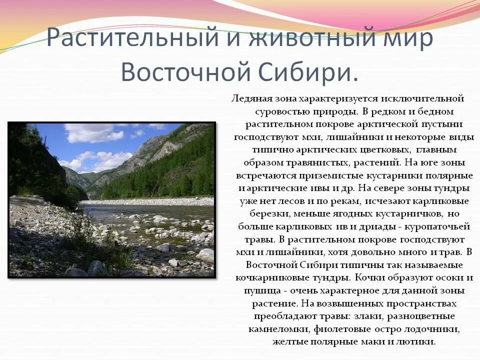 Мерзлотная Россия Восточная и Северо-Восточная Сибирь. Растительный мир Восточной Сибири. Особенности природы Сибири. Особенности природы Восточной Сибири. Природные особенности восточной сибири