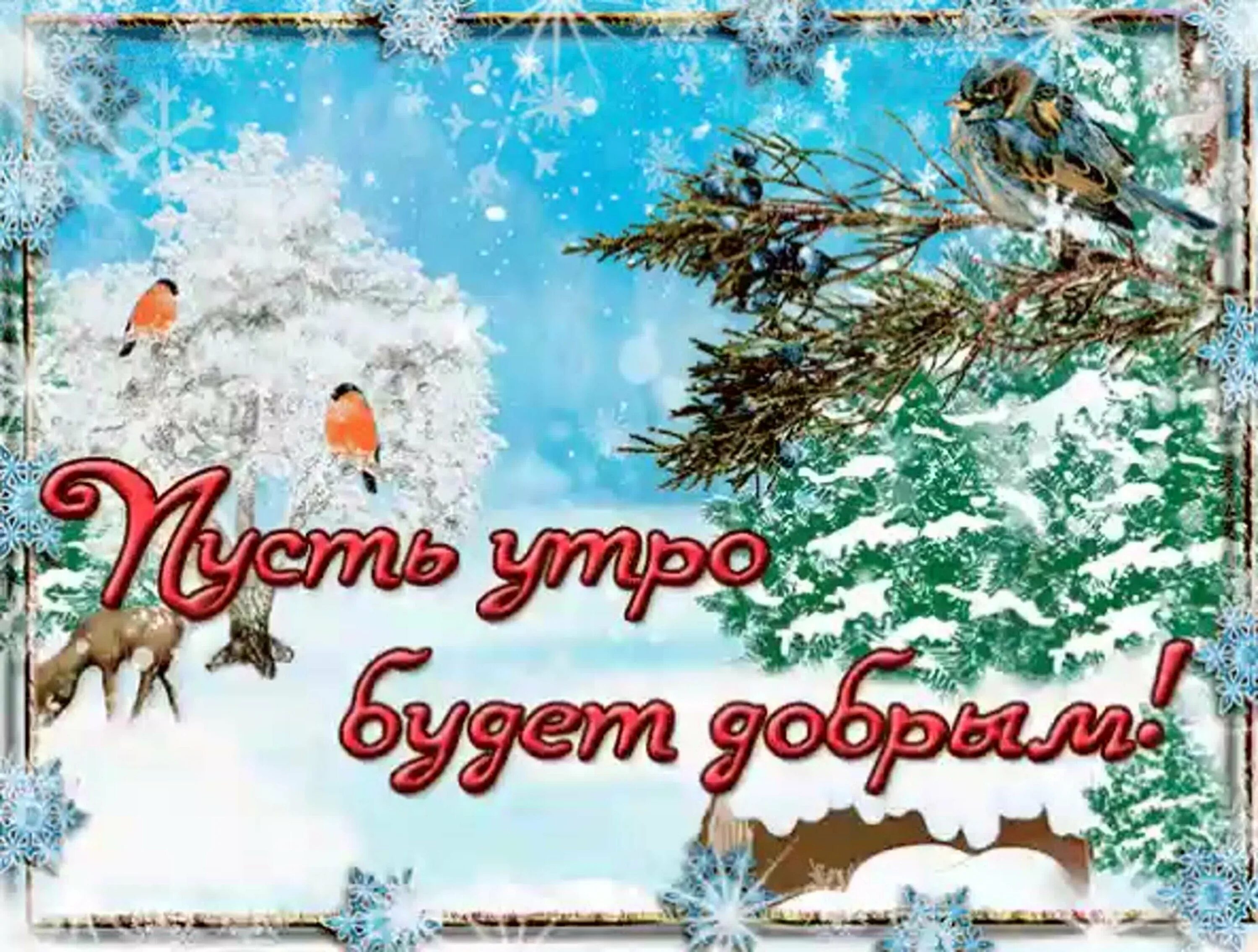 Открытки зимним днем. Зимние поздравления с добрым утром. открытки с добрым утром зимние. пожелания доброго зимнего утра. открытки сдорым зимним утром.