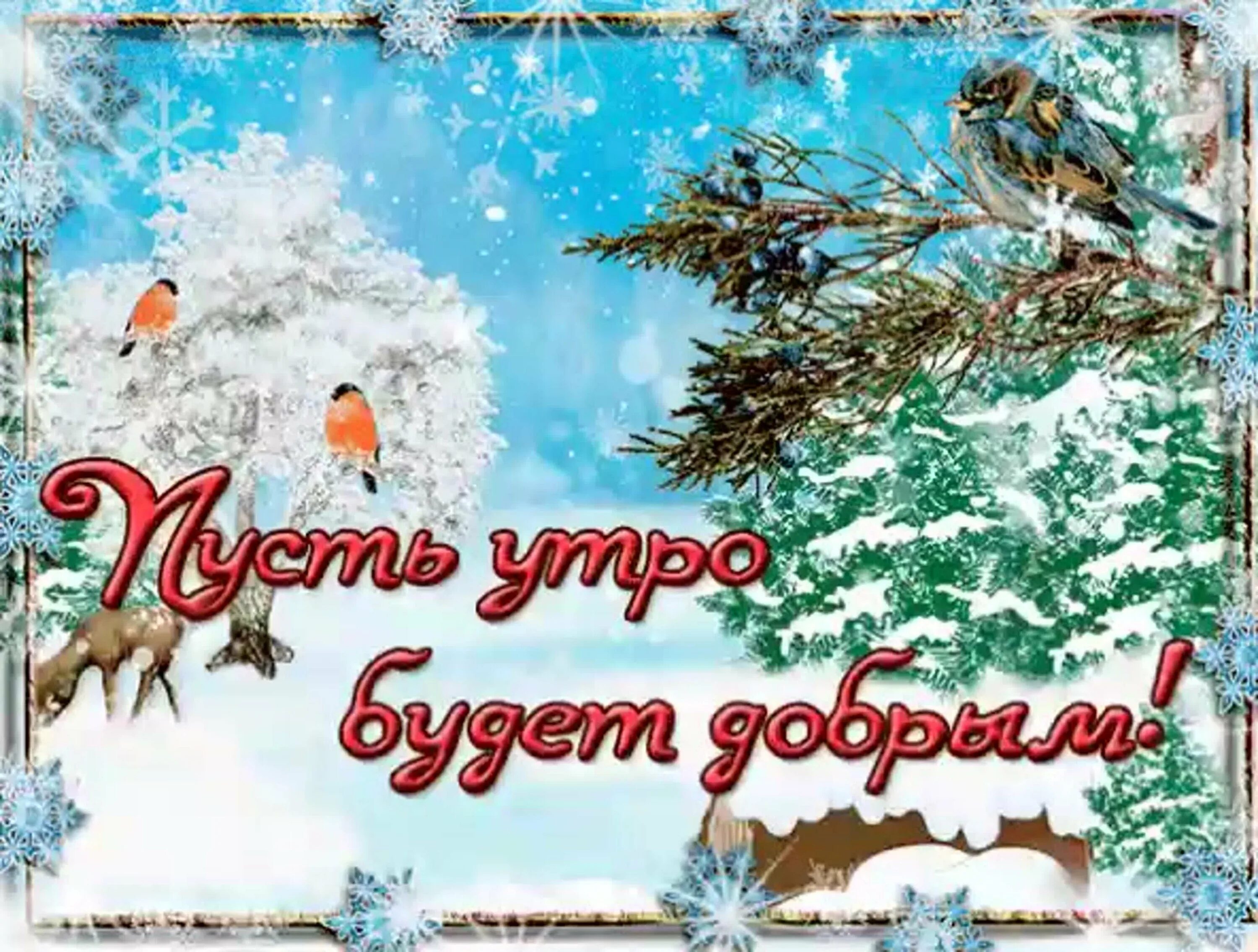 Прекрасно зимнего дня картинки. Зимние поздравления с добрым утром. Открытки с добрым утром зимние. Пожелания доброго зимнего утра. Открытки сдорым зимним утром.