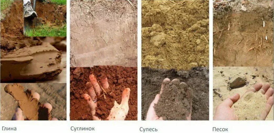 Песок супесь суглинок глина. Супесь почва. Супесь песчанистая. Суглинок легкий пылеватый. Гумусированная супесь.