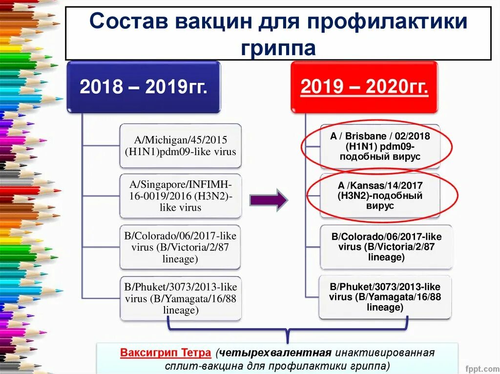 Состав гриппа. Состав прививки гриппа. Состав вакцины от гриппа. Прививки состав вакцин. Состав противогриппозной вакцины.