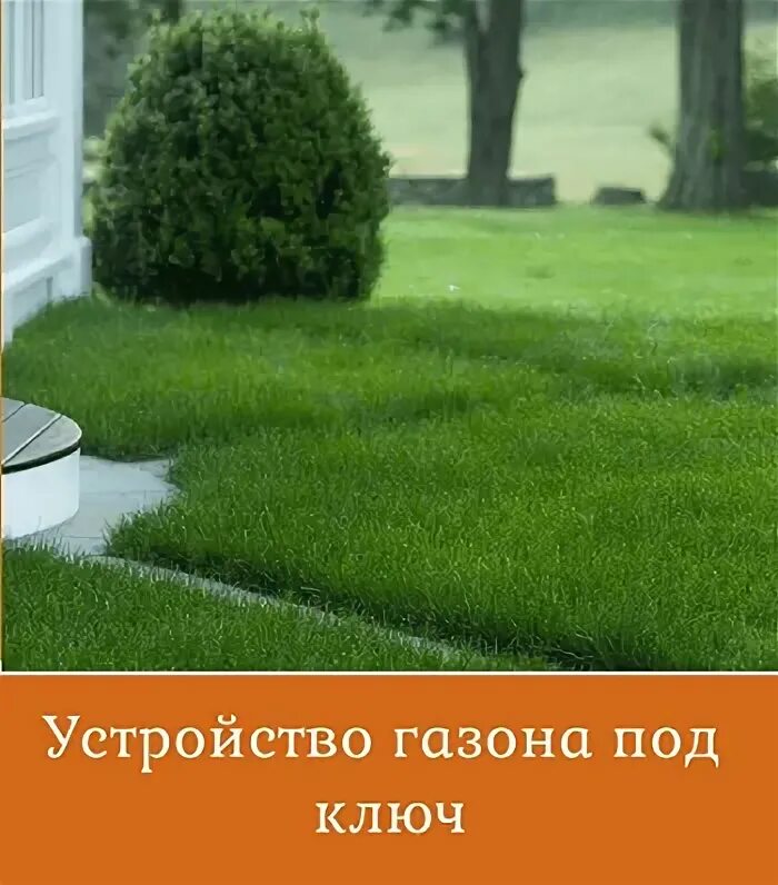 Устройство газона ключ. Рулонный газон на даче. Укладка под газон. Рулонный газон. Подготовка почвы под газон.