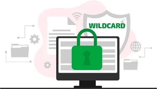 Wildcard-сертификат. Wildcard SSL. Wildcard сертификат Exchange 2016. Как выглядит Wildcard Certificate.
