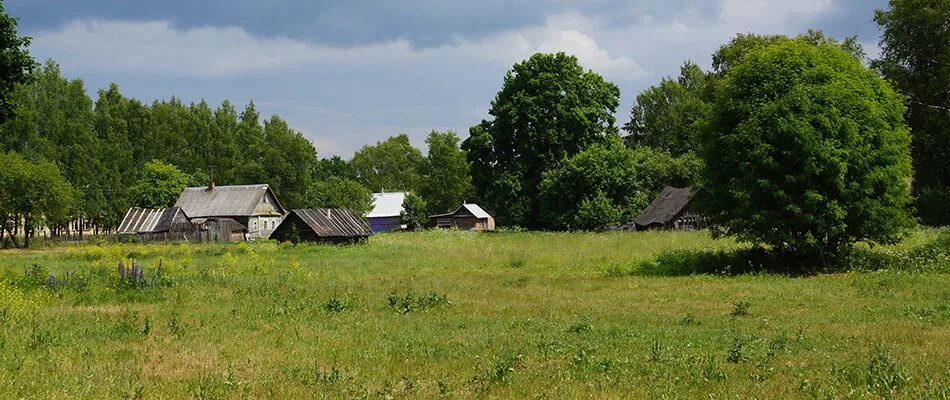 Деревни Новоржевского района. Псковская область Новоржевский район деревни. Дер выбор Новоржевского района Псковской области. Псковская обл Новоржевский район дер выбор. Погода выбор новоржевский район псковская область