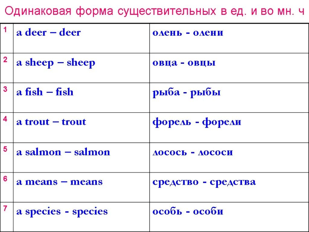 Укажите правильную форму существительного