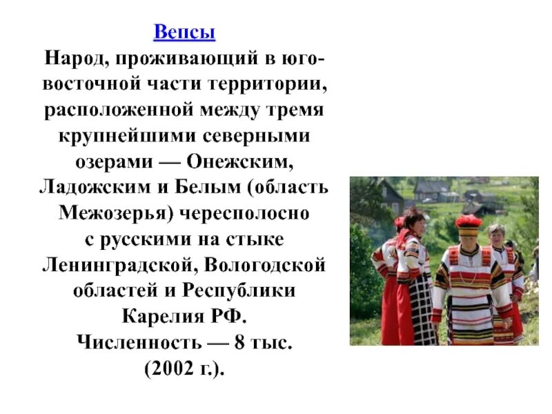 Народы проживающие в кемеровской области. Народ Карелии вепсы. Традиции вепсов Ленинградской области. Вепсы в Вологодской области традиции. Вепсы в Вологодской области внешность.