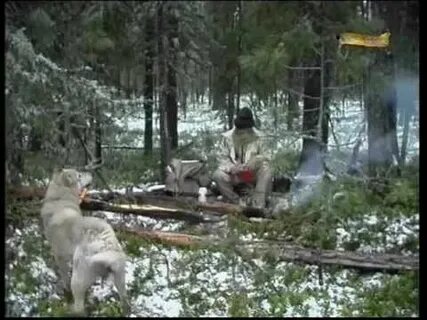 П покажите видео