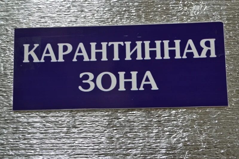 Установлена карантинная фитосанитарная зона. Карантинная зона. карантинная зона в аптеке. карантин табличка. карантинная зона табличка.