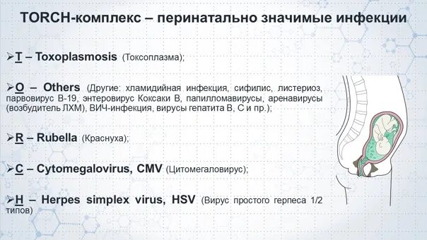 Torch комплекс. Торч комплекс. Инфекции торч комплекса. Torch комплекс по латыни хламидии. Torch комплекс по латыни.