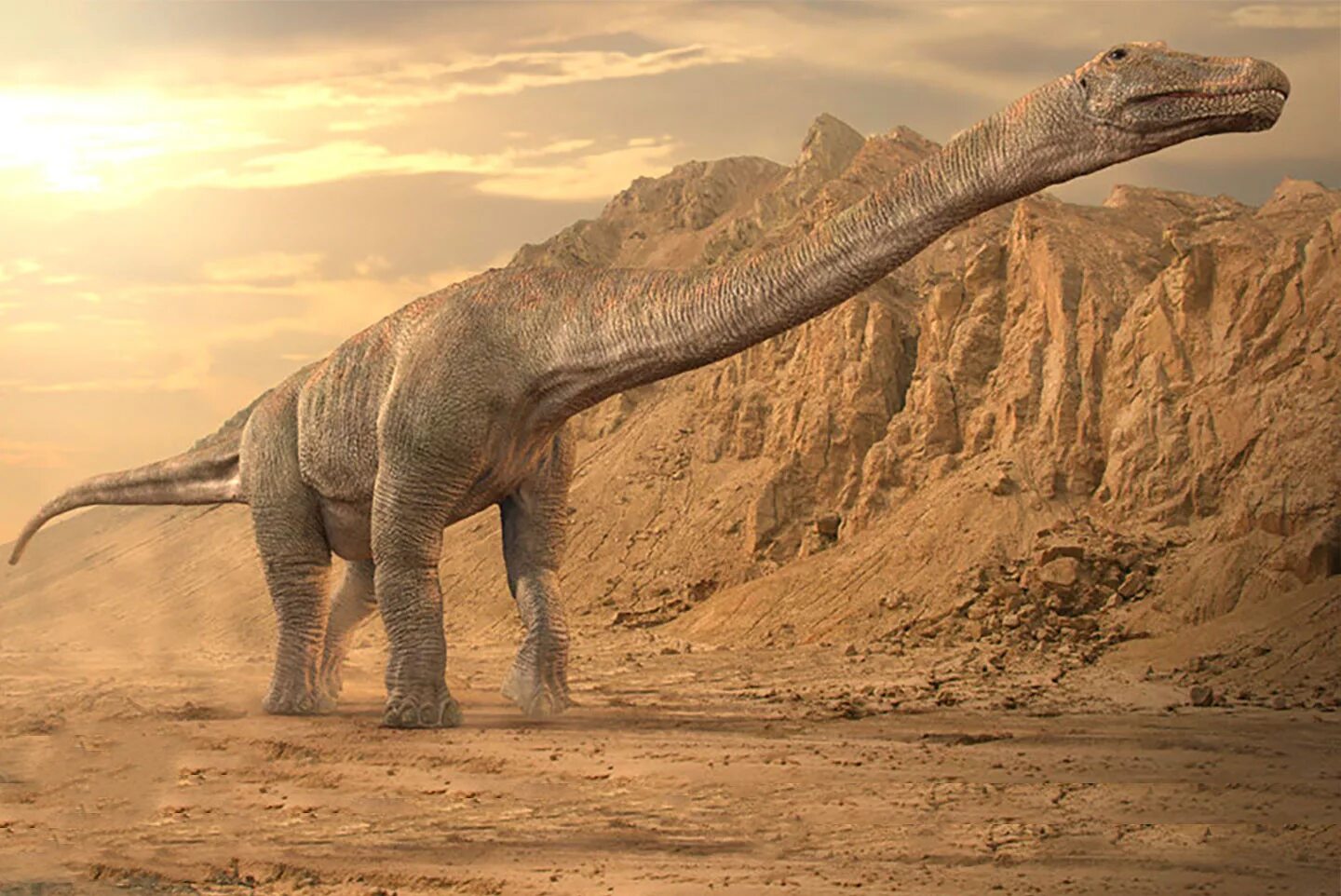 Титанозавр зауропод. Титанозавры титанозавры. Меловой период титанозавр. Титанозавр Сейсмозавр.