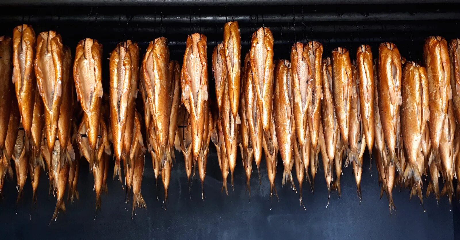 Мясные изделия горячего копчения. Копченая рыба. Горячее копчение. Способы горячего копчения. Копченая рыба.