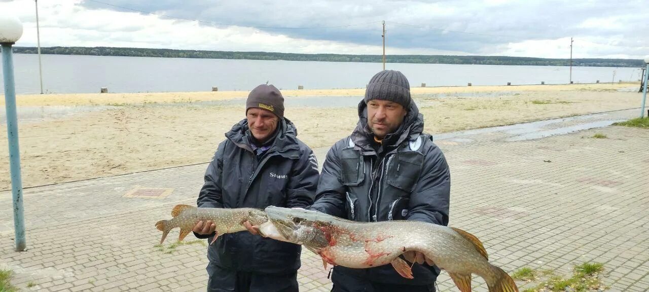 Рыбаки. Улов рыбаков. Рыба в Воронежском водохранилище. Матырское водохранилище рыбалка.