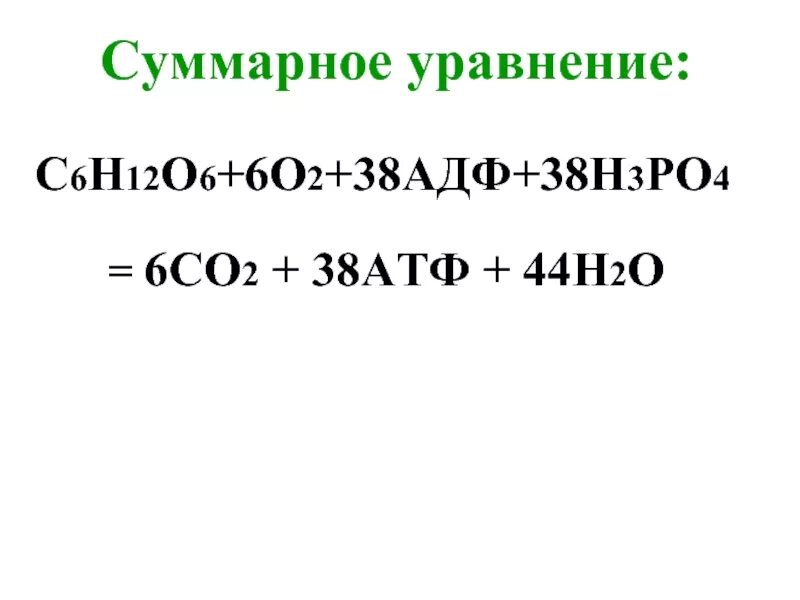 Ц 6 аш 12 о 6. С6н12о6+о2. … + 6н2о = с6н12о6 + 6о2. С6н12о6 в с2н6о. 6со2+6н=с6н12о6.