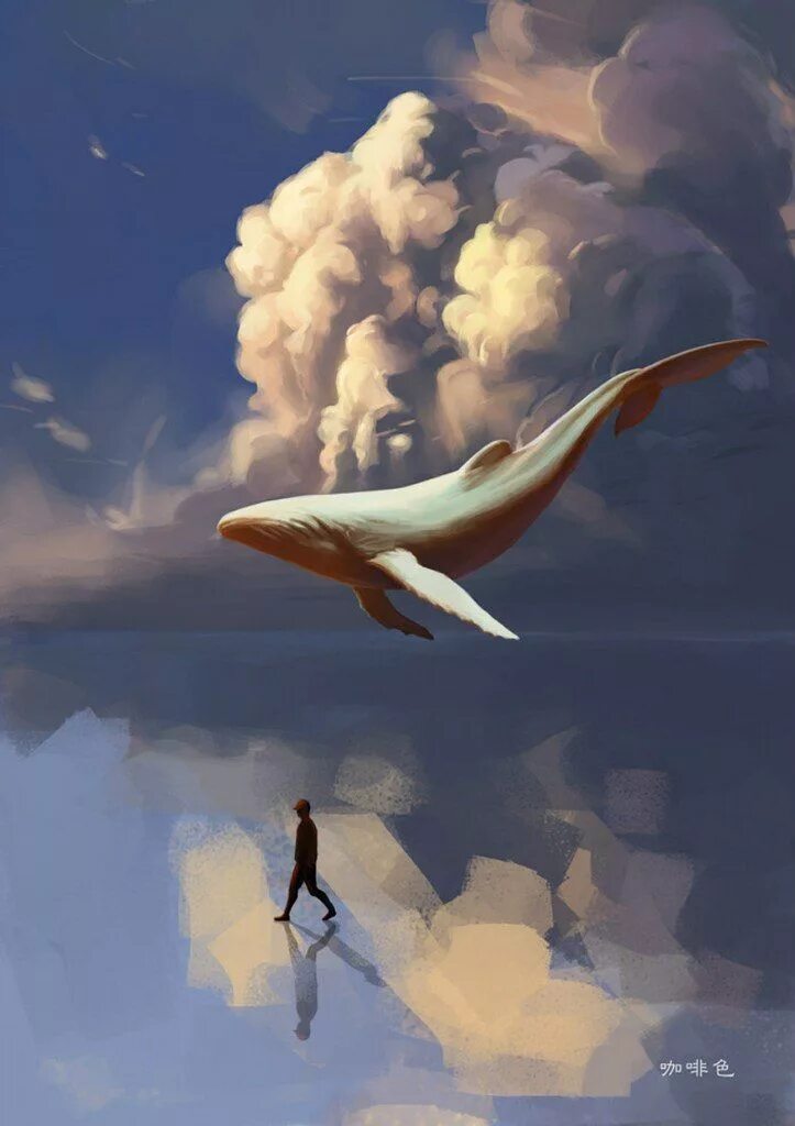 Изящность небесной мечты 2024. Небесный кит Геншин. Летающая киса. Киты в небе. Летающий кит.