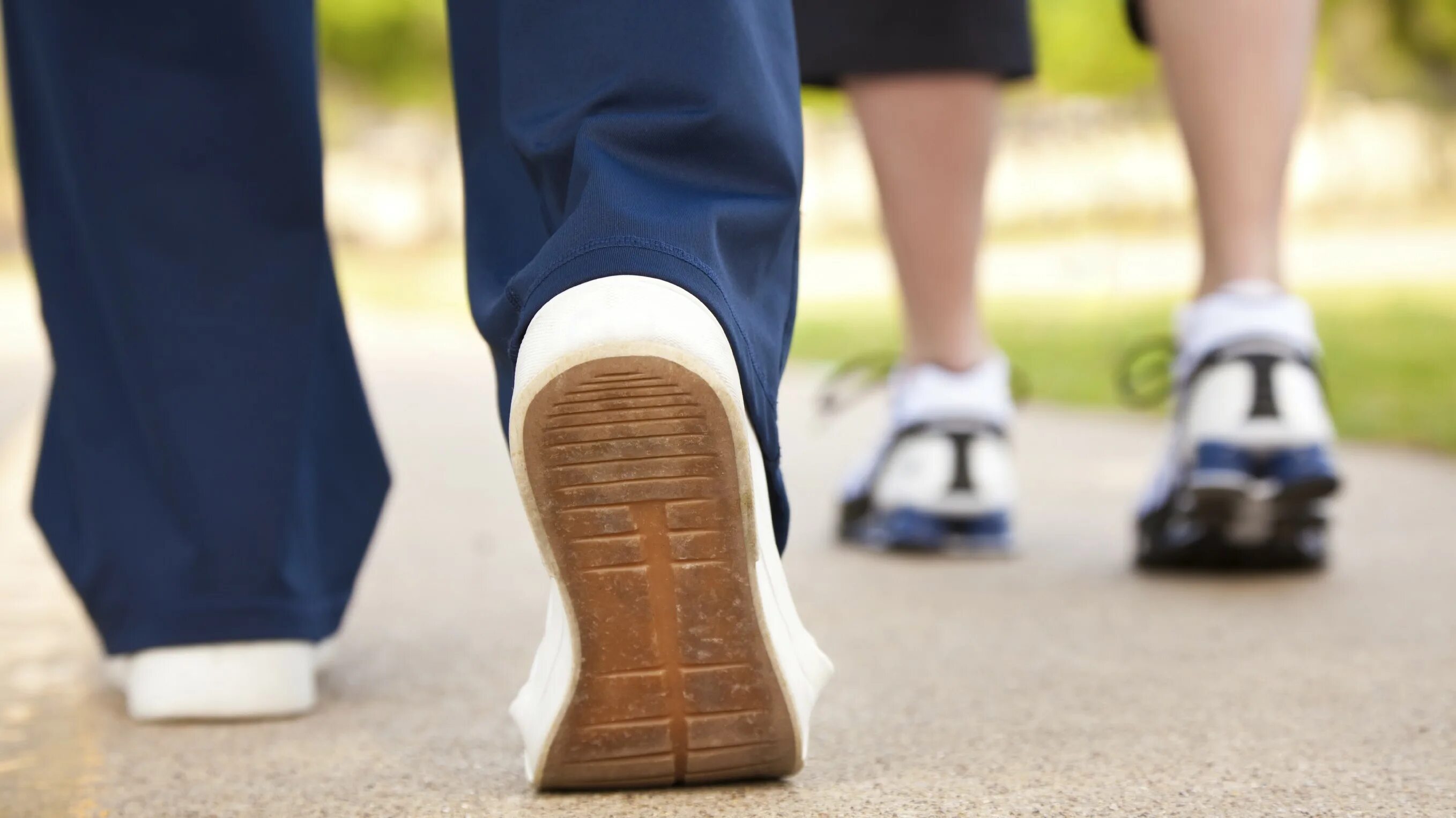 Прогулки по лесу. Штампующая походка. Be walk go. Ходьба. Be walk go.