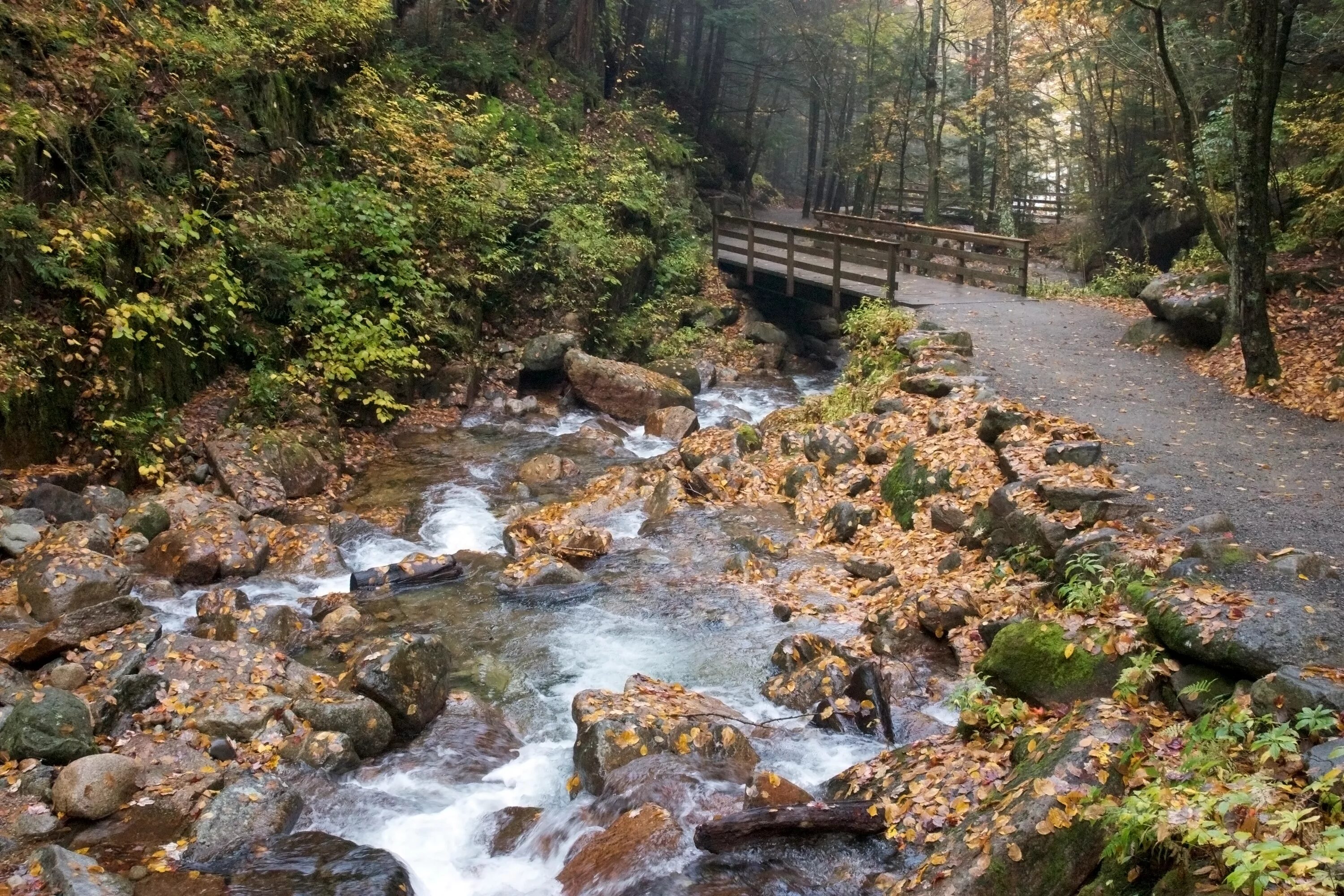 Тропа вдоль ручья водопадного Ялта. Каменная запруда на ручье. Запруда на Лесном ручье. Осень ручей Долина. Запруда ручья