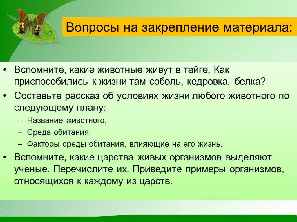 Какие животные приспособились к жизни. Как белка приспосабливается к условиям жизни. Как приспособились животные в тайге. Как животные приспособились к условиям тайги. Как животные приспосабливаются к условиям жизни белку.