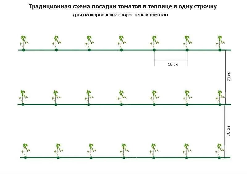 Как правильно посадить огурцы помидоры. Схема посадки томатов в теплице 3х4. Схема посадки томатов в теплице 3х6 из поликарбоната. Схема посадки томатов в теплице 2 на 4. Схема высадки томатов в теплице 3х6.