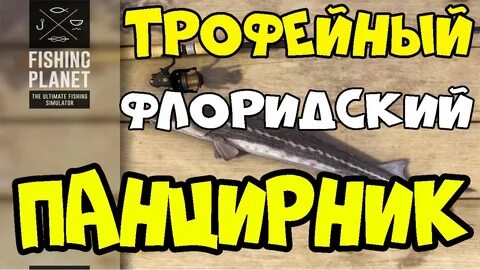 Fishing planet гайд