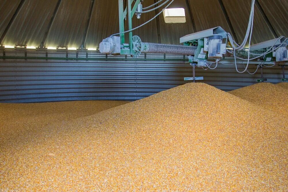 Зерновой склад. Фонд зерно. Микронизация зерна. Безопасность зерна. Grain bin.
