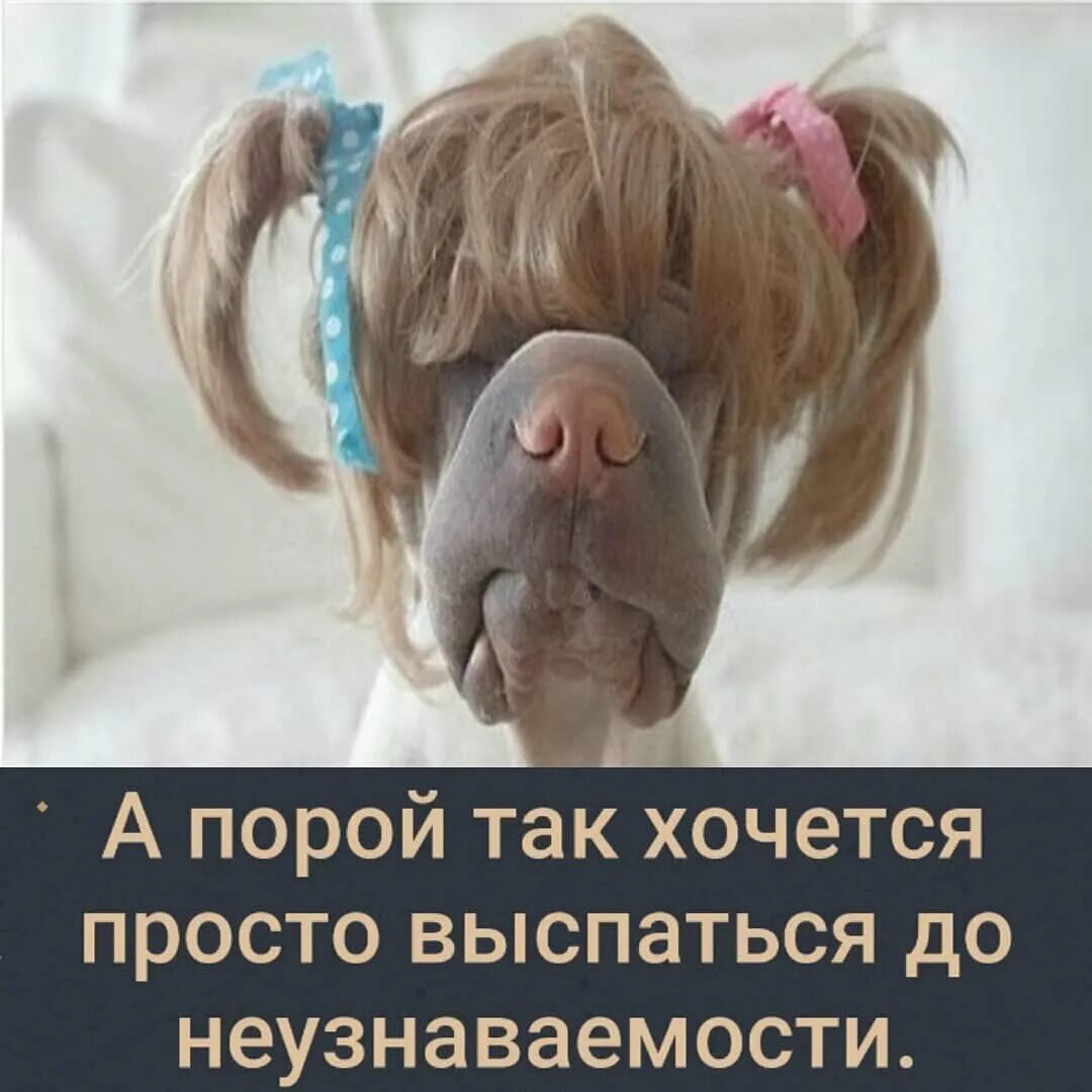 Ну выспалась. Выспалась до неузнаваемости. ты высыпаешься. я сегодня не выспалась. я не высыпаюсь.