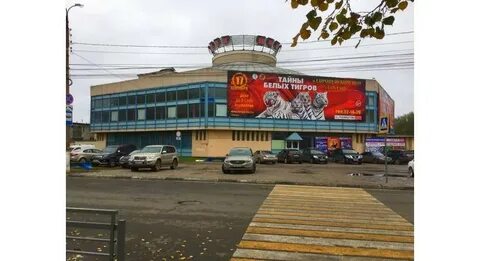 Цирк у ленты тверь