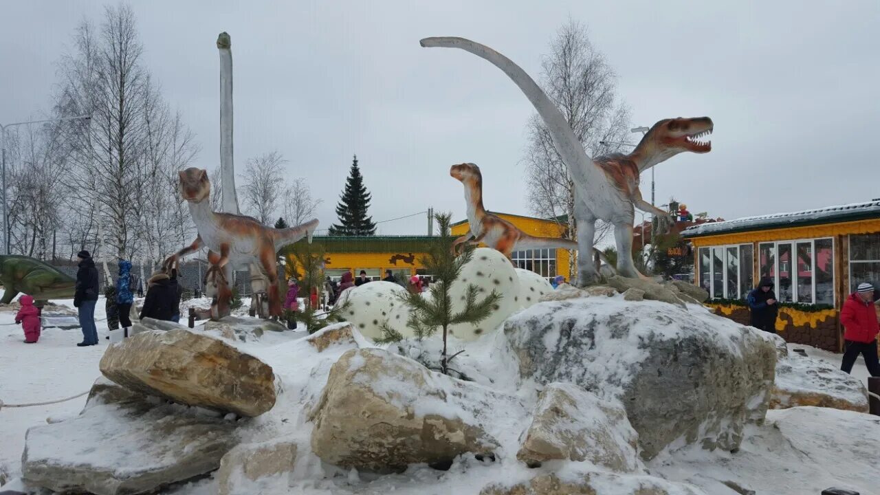 Юркин парк село талица 50 1 фото. Юркин парк киров американские горки. юркин парк киров горки. киров динопарк юркин. юркин парк уфа.