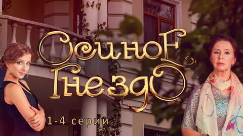Осиное гнездо 6