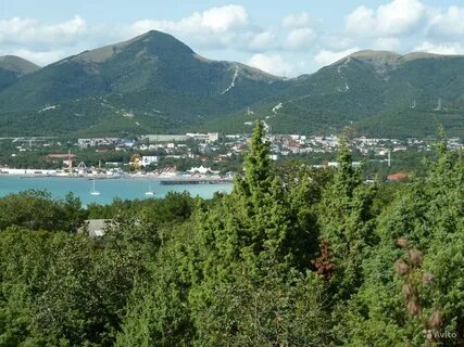Горная кабардинка