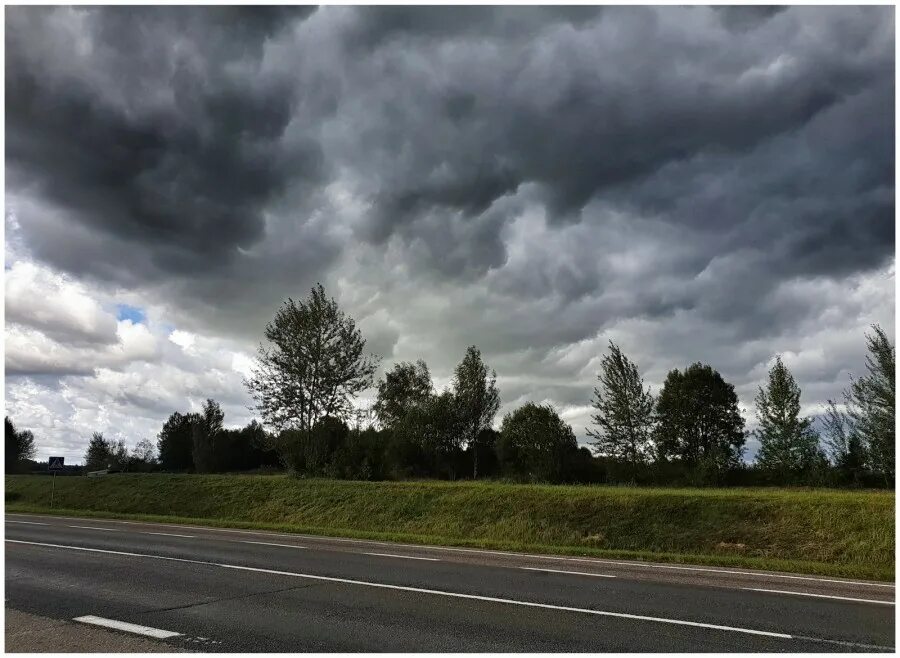 песня свинцовые тучи