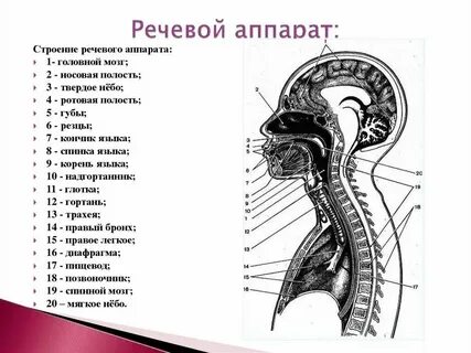Как оформить строение