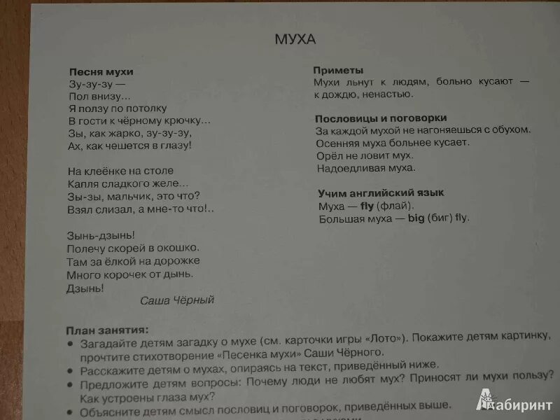 Текст песни слева. Песня мухи. Муха справа Муха слева песня. Текст песни Муха. Песня мухи стих.