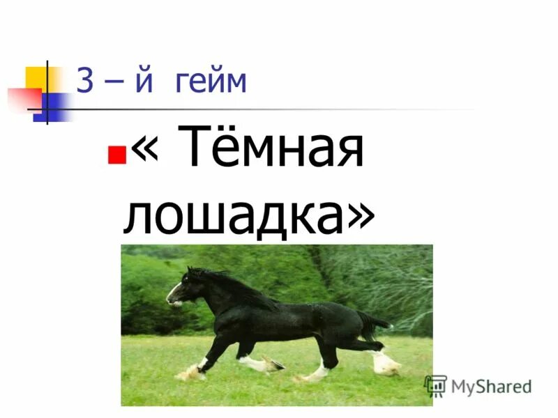 Темная лошадка фразеологизм. Значение темна лошадь. Выражение темная лошадка. Темная лошадка значение фразеологизма. Темная лошадка фразеологизм.