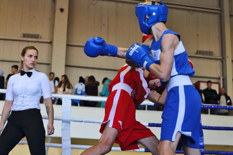 15 2. 15 2. Персональные тренировки по боксу. Гор бокс 1. Гор бокс 1.