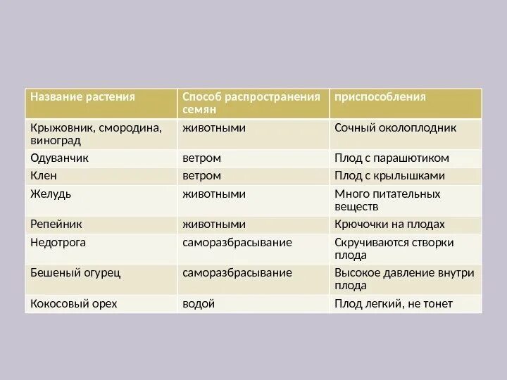 Биология 6 класс тема распространение плодов и семян таблица. Способы распространения плодов таблица. Заполните таблицу способ распространения плодов и семян. Способы распространения плодов и семян таблица. Семена ели приспособленность