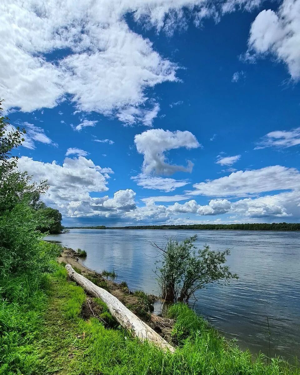 Река Обь Новосибирск. Оби Новосибирской реки Новосибирска. Река Обь Кругликово. Река Обь Барнаул. Обь отдых