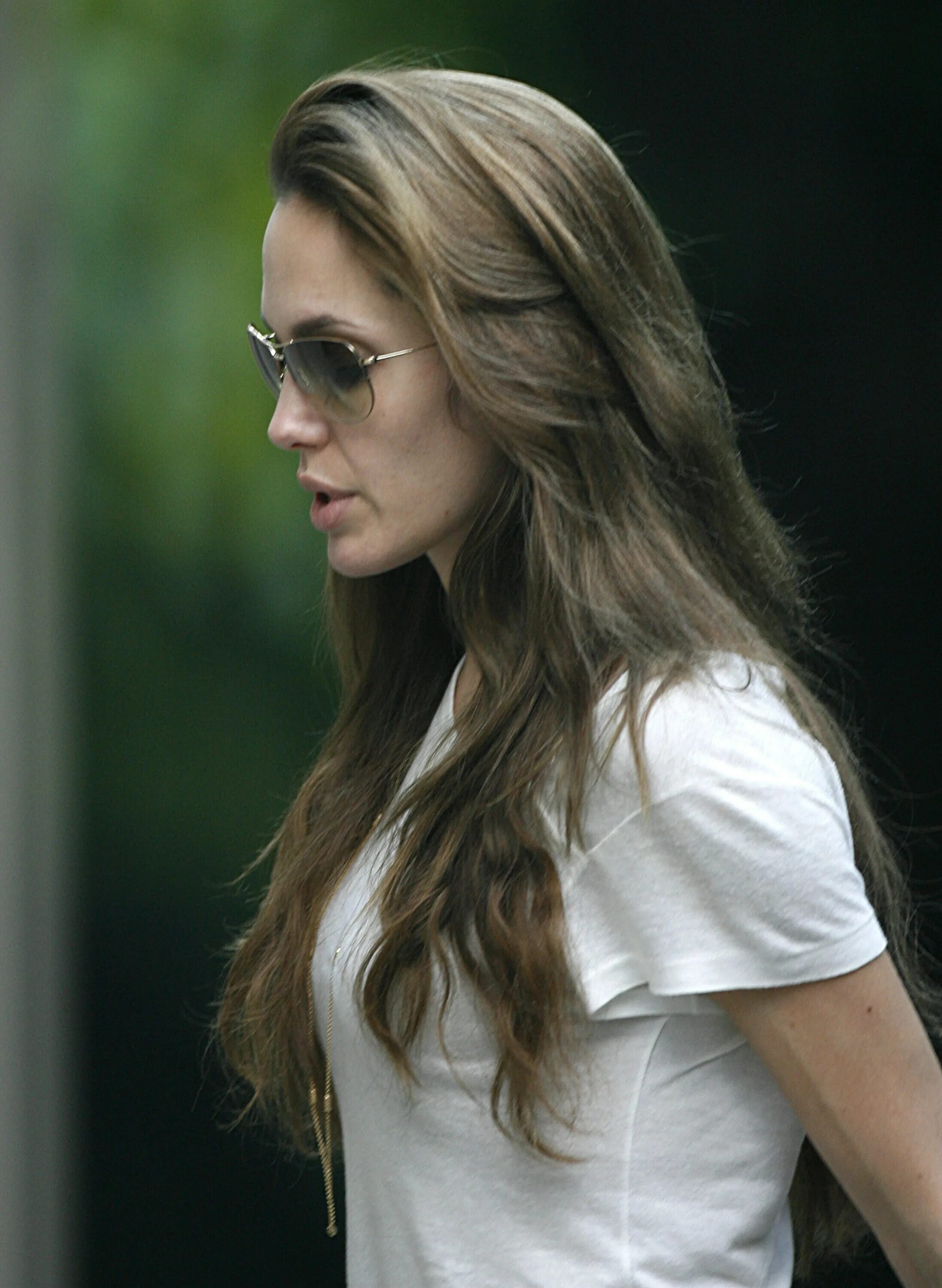 Волосы джоли. Анджелина джоли. анджелина джоли цвет волос. angelina jolie hairstyle. джоли русые волосы.