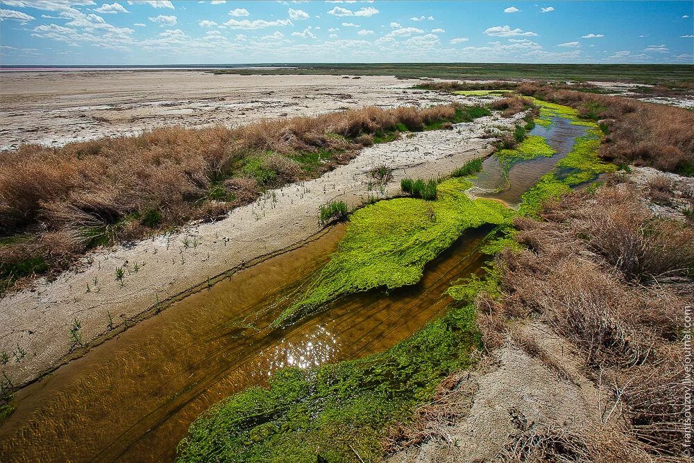Река пласт. Река сок загрязнение. Река пласт. Река солянка. Речка кабанка челябинская область.