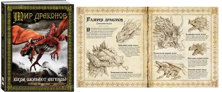 Мир драконов книга. Стелла колдуэлл мир драконов. мир драконов когда оживают легенды. драконы легенды оживают.