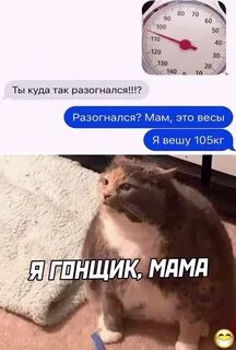Смешное тг