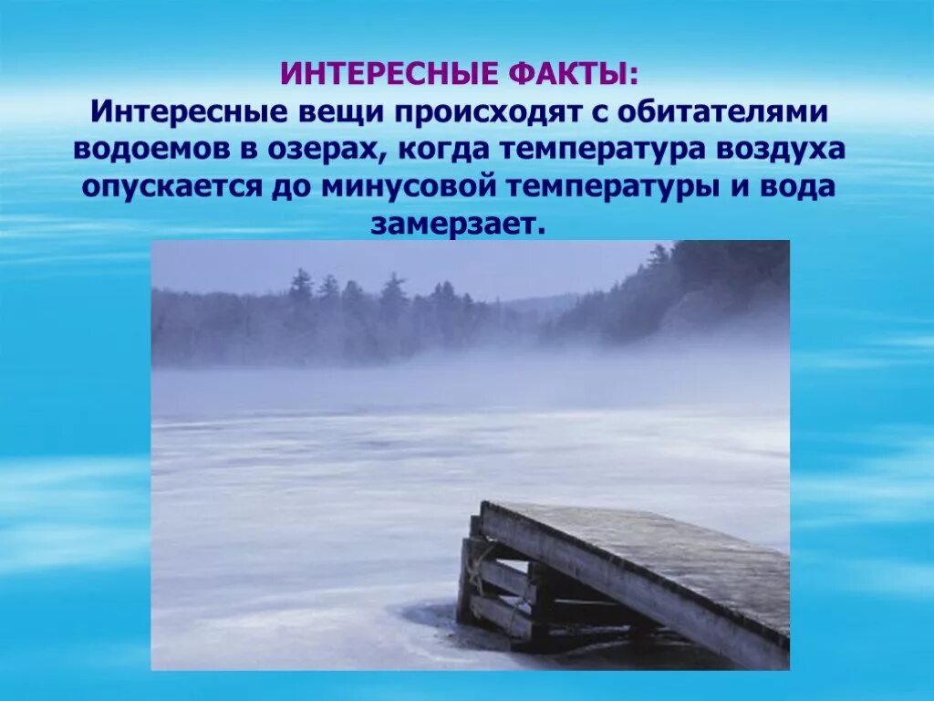 Три состояние воздуха. Интересные факты о воздухе. Воздух интересные факты презентация. Интересные факты о температуре воздуха. Воздух состояние вещества.