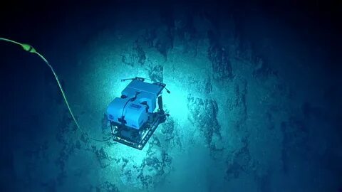 The deep sea сайт