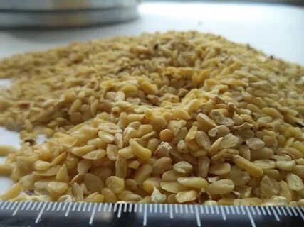 Кукурузные зародыши