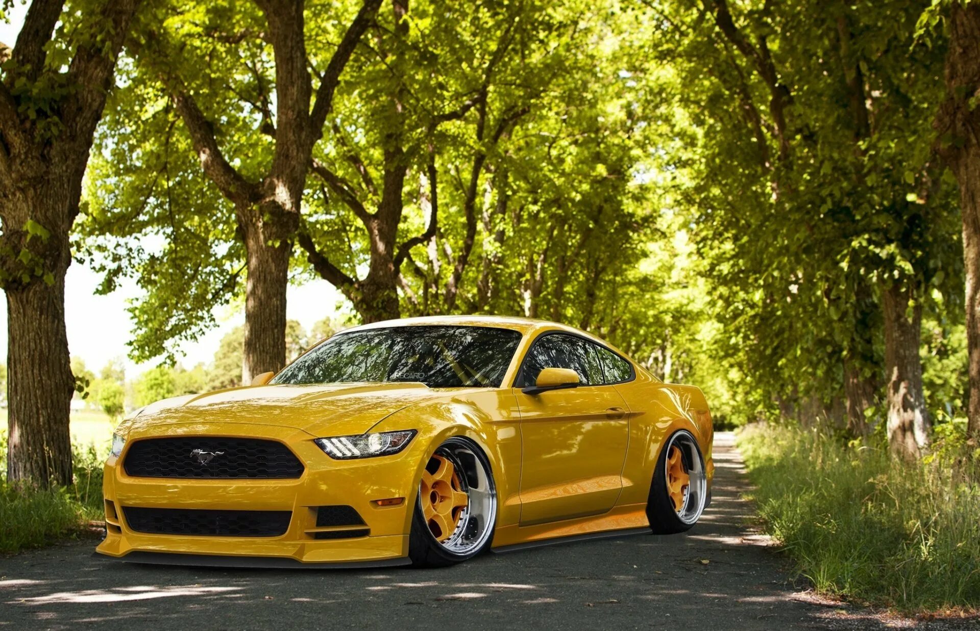 Форд Мустанг стенс. Ford Mustang желтый. Ford Mustang стенс. Ford Mustang 2048x512 желтый. Красивые машины лето