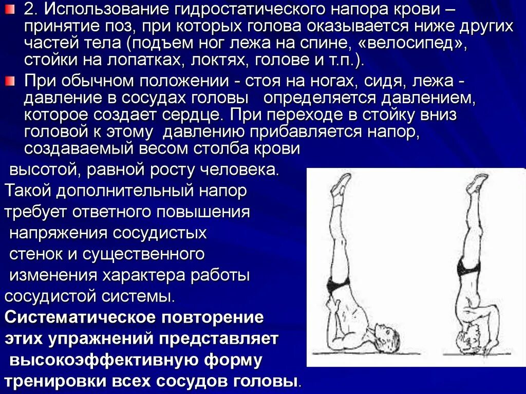 Изменение давления при изменении положения тела. Стойка на лопатках из положения лежа. тб при стойке на лопатках. гидростатическое давление крови. амплитуда стойка на лопатках.